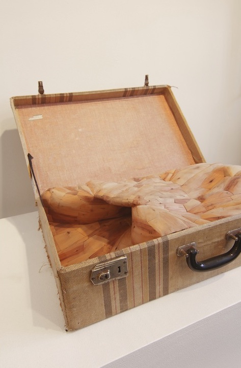 <h3>THOMAS BEALE</h3>
						<h4><em>Untitled (Suitcase)</em></h4>
						2013</br> 
						Found wood and suitcase</br>
						21 x 13 x 6 inches</br>
                        